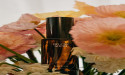 Below Body new product launch Nurture oil: a post shave soothing oil.