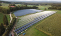 Guida all'Affitto di Terreni per Impianti Fotovoltaici