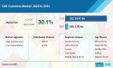 CBD Gummies Market Size Is Projected To Reach US$ 26.41 Billion By 2033