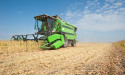Soybeans price spikes as WASDE report points to lower yields