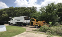 Ramos Tree Services Celebrates a Decade of Growth, Increasing Revenue by 40% with Exclusive Leads from Tree Leads Today
