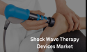 Shock Wave Therapy Devices Market 2030: Production, Revenue, Growth Rate, Price and Gross Margin | C.R. Bard, Boston.
