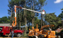 Pro Master Tree Service on Preparing Trees for Upcoming Snow in Massachusetts