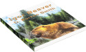  Igor Beaver, a children’s picturebook by 90-year-old new author D. Burton Smith is a Canadian Book Club Awards Finalist. 