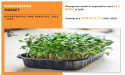 Global Microgreens Market will Gain Momentum by 2028 to Surpass $2.2 Billion and CAGR of 11.1% | AMR