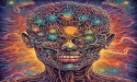 $1.5 Million Donation Boosts Research on Psychedelic DMT's Effects on the Brain