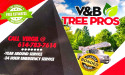  Tree Care Marketing Success: V&B Tree Pros Grows by 60% with Strategic Alliance 