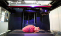 3D Printing in Healthcare Market Is Booming Worldwide 2023-2030 | 3D Systems, Exone Company, Formlabs, General Electric