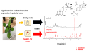 A single regulatory factor sufficient to induce the accumulation of complex specialized steroids in plants