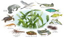 Award Winning Children's Author Camille Klump Has Just Released a New Kid Tested Environmental Book
