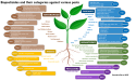 Biopesticides Market Key Insights on $33.6 Billion, CAGR 13.9% | Brazil is anticipated to grow at a CAGR of 15.4%