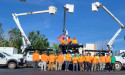 Bear Creek Tree Service's 50% Growth Fuels Tree Care Marketing Success