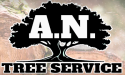  Efficiency and Success: How Exclusive Leads from Tree Leads Today Transformed A.N. Tree Service 