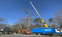 Destito Tree Services: A Family-Owned Success Story with Tree Leads Today