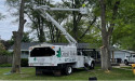  Growing Strong: How Tree Leads Today & Their Tree Care Marketing Cultivates Success for Great Oaks Tree Service 