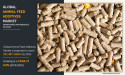 Animal Feed Additives Market Size Worth $31.38 Billion | Revenue, Product Launches, Regional Share Analysis & Forecast