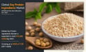  Soy Protein Ingredients Market Envisioned at $15.3 Billion Globally, Increasing at a CAGR of 4.4% | AMR 