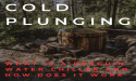How a penguin water chiller works in cold plunge tubs