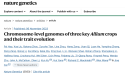 La ricerca congiunta con BGI svela i segreti dell'evoluzione di tre colture chiave di Allium e dei loro tratti