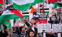  Pro-Palestinian campaigners to stage rallies across Scotland on Armistice Day 