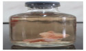 Formalin Market Current Status and Future Prospects | Top Countries Data and Forecast to 2030