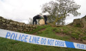 Teenager arrested after Sycamore Gap tree was felled will face no further action