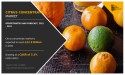Citrus Concentrate Market to Reach $12.9 Billion by 2031 Growing at CAGR of 5.3% from 2022 to 2031| AMR