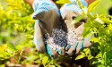 Canada Crop Micronutrients Market Size, Trends, Key Drivers and Regional Dynamics by 2027 | Registering a CAGR of 7.2%