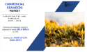 Commercial Seaweeds Market Poised for Striking Growth By 2031: SeaSnax, MaraSeaweed, corbion