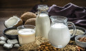 Dairy Alternative Market Thriving Worldwide Growth & Trending Business Factors & Forecast to 2031 At cagr 14.48%