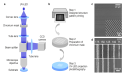  Low-cost microscope projection photolithography system for high-resolution fabrication 