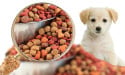  UAE Pet Food Market To Reach US$ 164.6 Million by 2032 