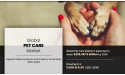 Pet Care Market Growing at 6.2% CAGR to Hit $269,497.5 million by 2030 | Growth, Share Analysis, Company Profiles