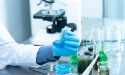 Drug Discovery Market: Uncover Smart Investments and Future Prospects to Grow the AI-Powered Industry to USD 143.46 Bn.