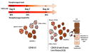Silent Carriers: Long-Standing SARS-CoV-2 RNA in Respiratory Vesicles