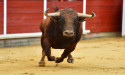 Rising stablecoin supply highlights exciting times for crypto markets