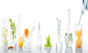 Alfa Chemistry Unveils Its Cosmetic and Personal Care Product Testing Capabilities