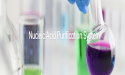 Alfa Chemistry Launches Varieties of Biological Reagents for Use in Nucleic Acid Purification Systems