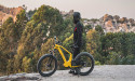 Ebike Christmas Sale - Magicycle Step Over Deer Hunting Ebike