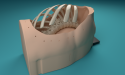 21st Century Surgical Training Education is Driving Medical Device Success & Regulatory Approvals