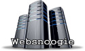 Websnoogie: The Right Way to Switch Web Hosting Companies