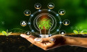 Computational Biology Market Headed for Growth and Global Expansion by 2031 | Accelrys, Certara, L.P.
