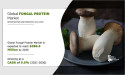  Fungal Protein Market Size to Exceed USD 386.6 Million By 2030 | CAGR of 9.5% 