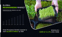 Microgreens Boom: $2.2B Market by 2028 - Allied Market Research Report