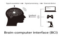 Brain Computer Interface Market Expected to Expand at a Steady 2024-2031 | Neuralink Corporation, Emotiv Inc, Plexon Inc