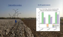  Assessing Endosulfan Residues and Farmer Response Post-Ban in China's Cotton Regions 