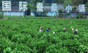 Haelixa and Trudel Silk to Bring Full Traceability and Transparency
