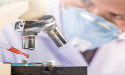 T2 Biosystems (TTOO) share price stays stable post Q4 earnings