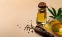  Castor Oil Market Size, Share, Demand, Trends, Companies and Forecast 2024-2032 