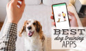Dog Training Apps Market Is Booming So Rapidly | Major Giants Puppr, Goodpup, Petcoach